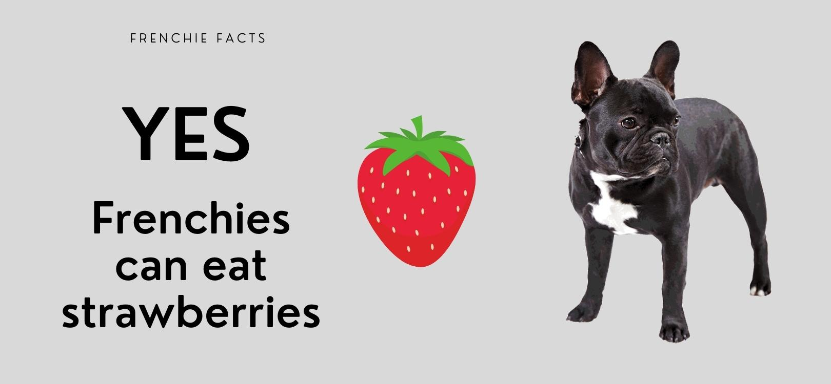 are strawberries good for frenchies