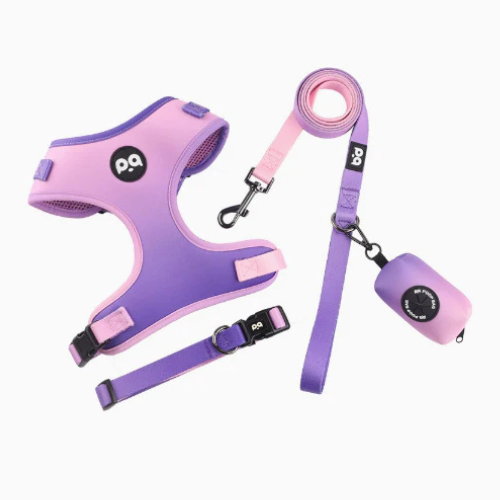 Purple-Pink Adjustable Soft Pet Harness with Leash & Poop Bag Dispenser