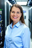 Example of IT Server Room style