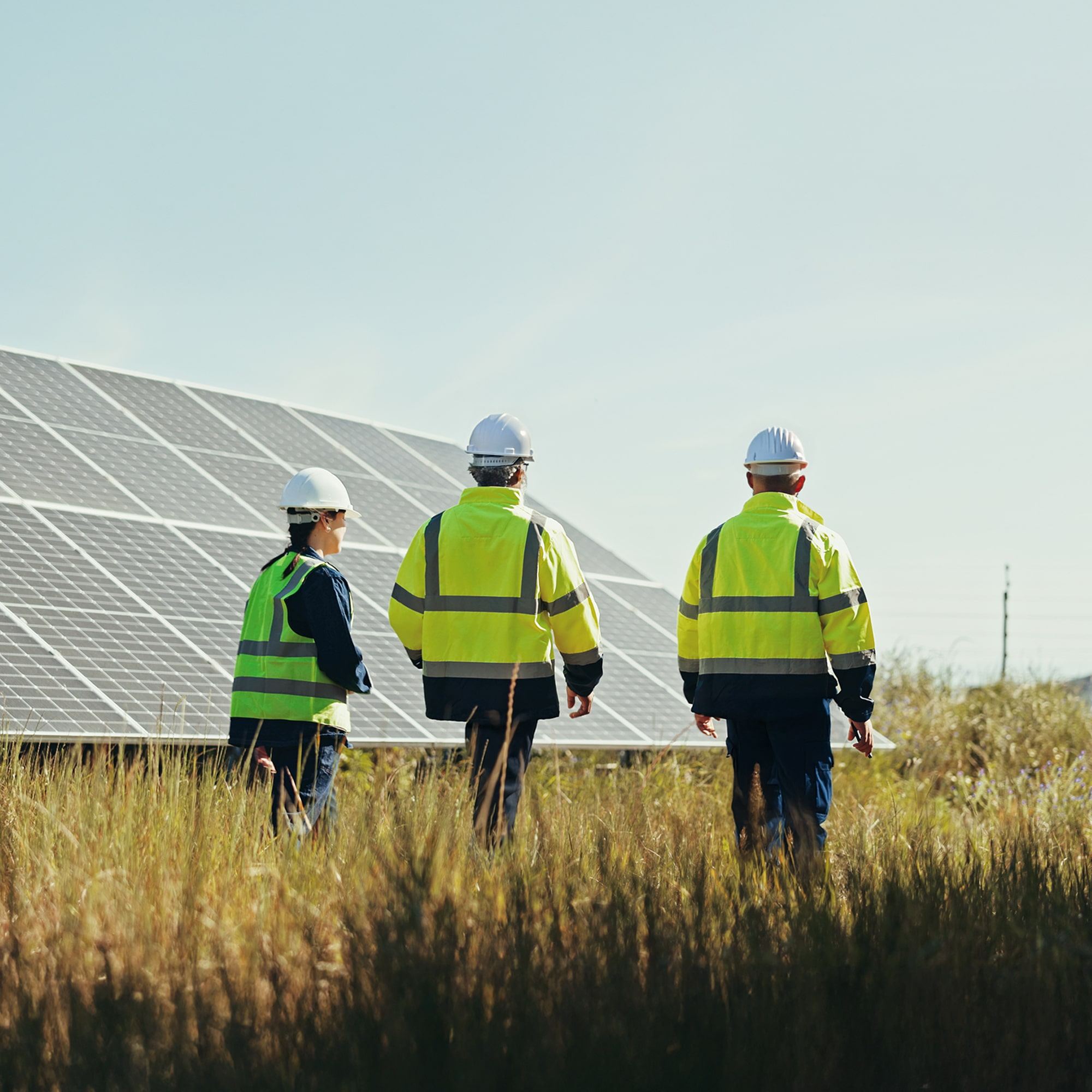 Three workers in yellow safety jackets and helmets walk through tall grass near large solar panels under a clear sky.