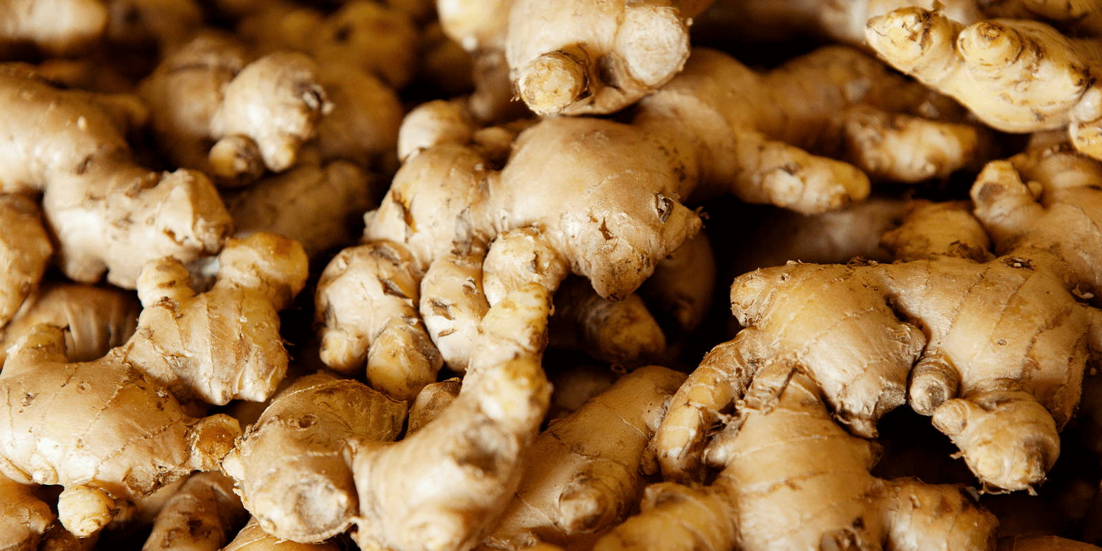 A pile of fresh ginger roots.