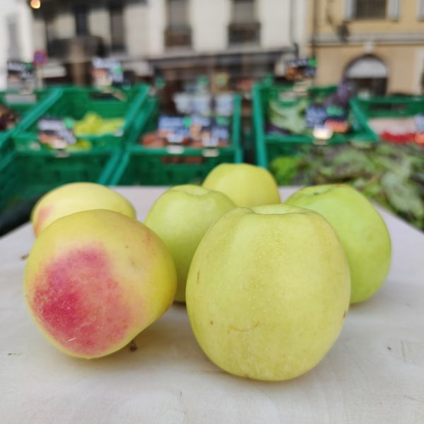 pommes-golden-bio