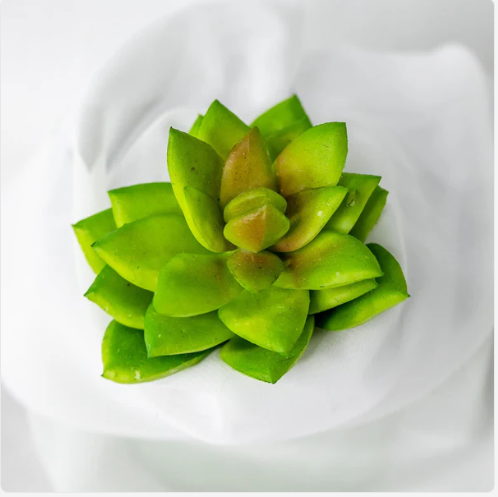 Rosette Lotus Succulent (6 Pack) - Realistic Artificial Flowers and Greenery - Image 3