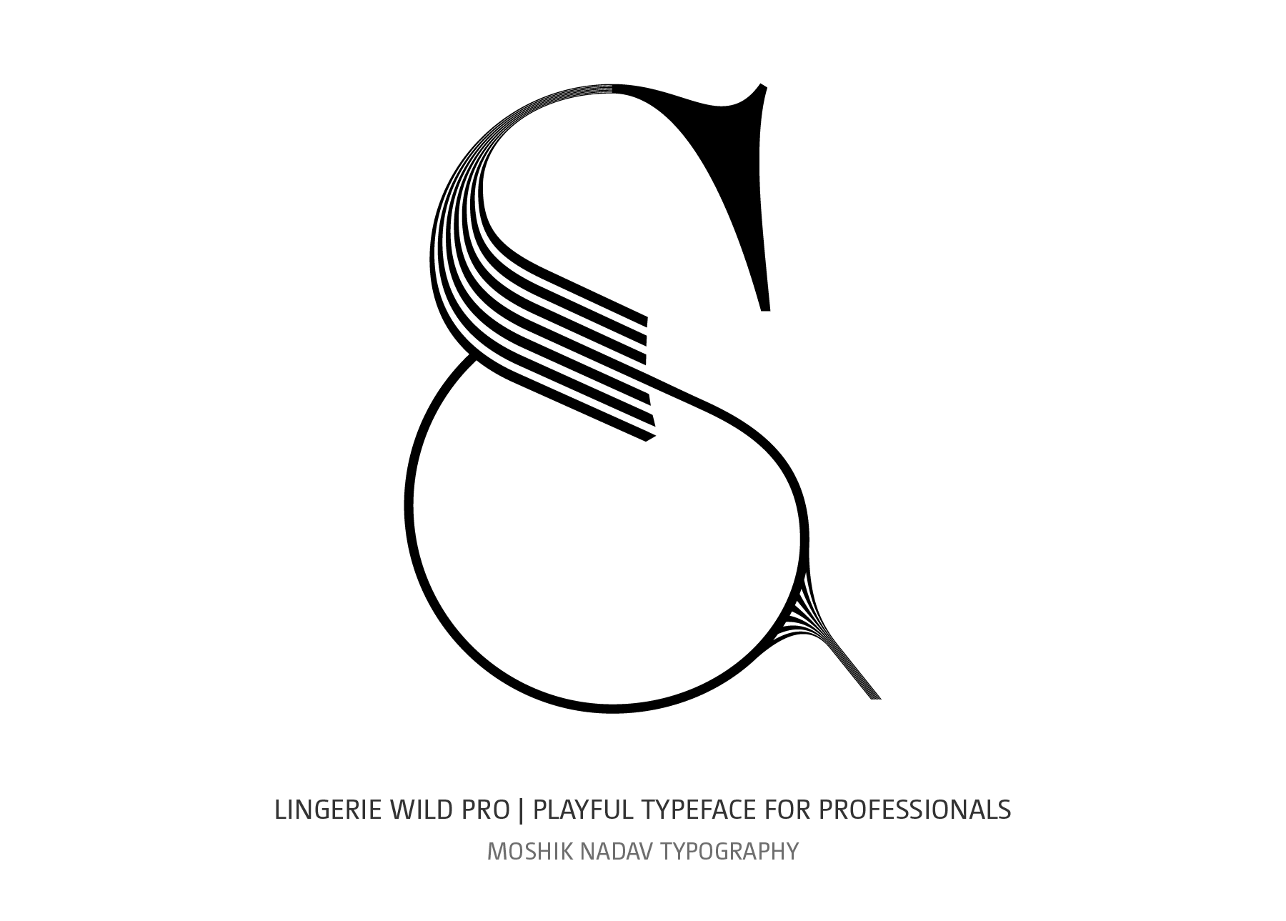 Super sexy ampersand designed by Moshik Nadav Typography NYC