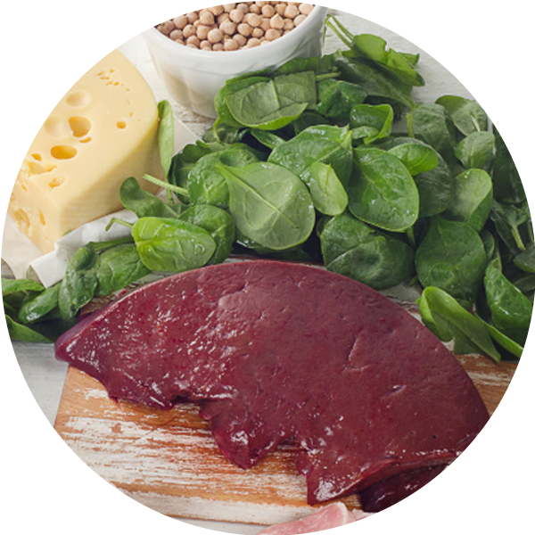 Liver and leafy greens as sources of Vitamin B2 for cellular protection in the best vitamin B complex Singapore.