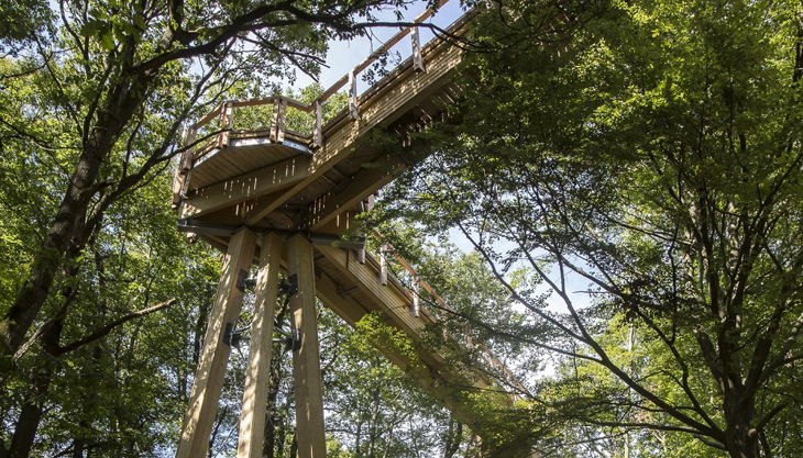 panabora baumwipfelpfad