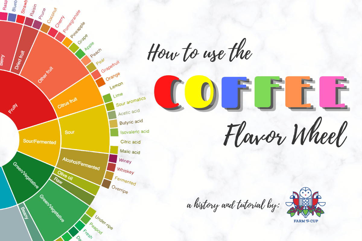 Coffee Flavor Wheel Blog Header