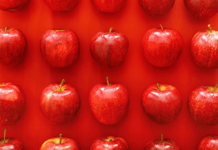 りんご種類 時期