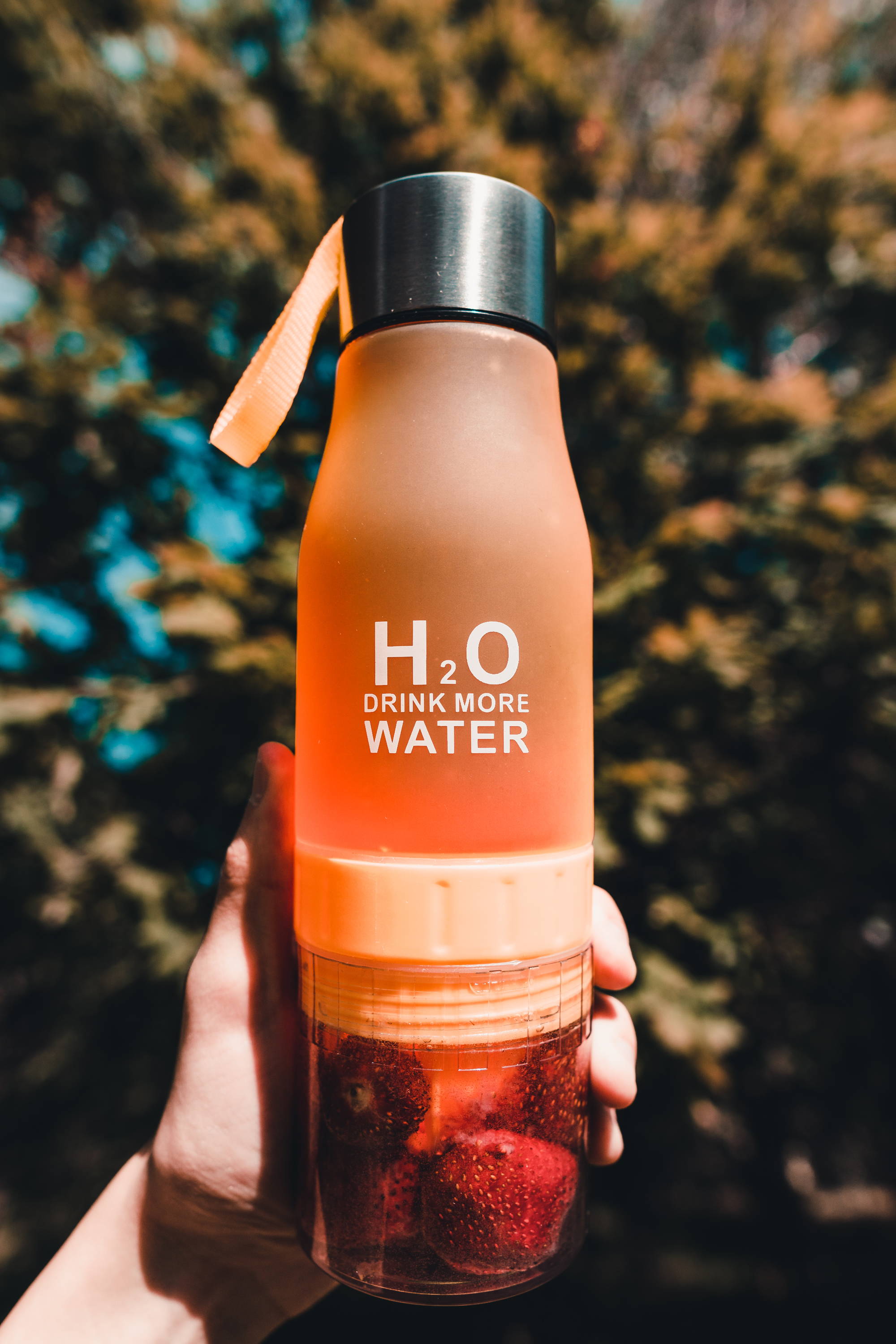 The Amazing Fruit Infusion Bottle - Sugar & Cotton