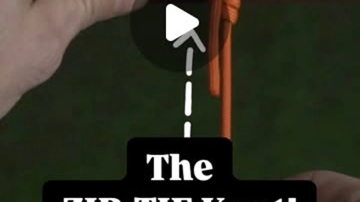 Main Content Image
