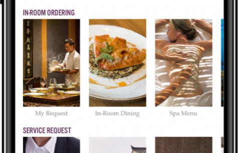 Screenshot image