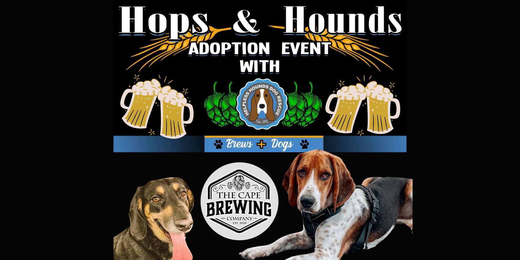 Coonhounds at The Cape Brewing promotional image