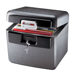 SentrySafe Plastic Fire/Waterproof Safe with Key, 0.65 cu. ft. (HD4100) | Staples