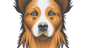 Main Content Image