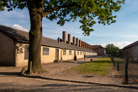 Guided Tour from Meeting Point to Auschwitz (Optional Lunch)