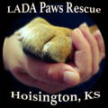LADA Paws Rescue