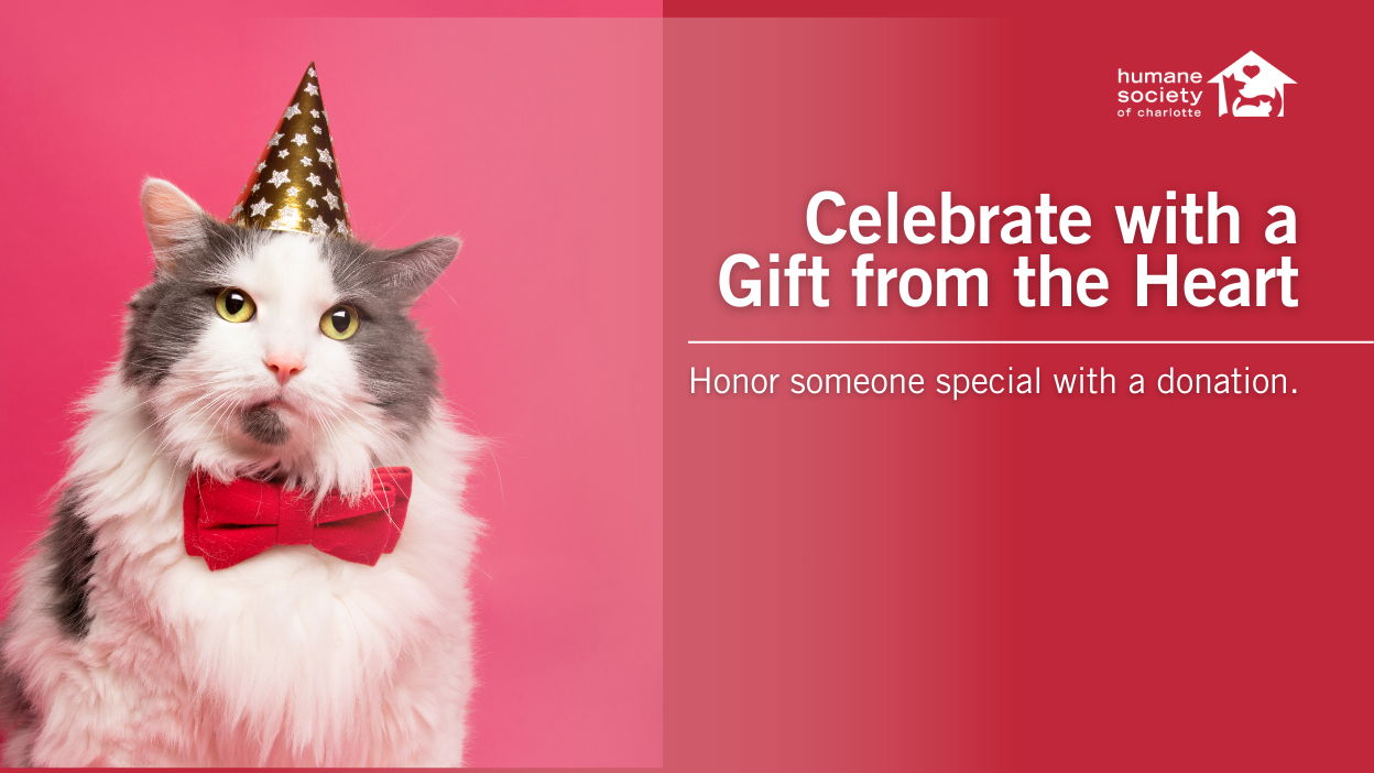 Give now. Pets are counting on you!