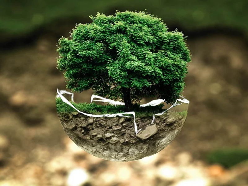 Journée mondiale de l'environnement: l'impact négatif du papier!