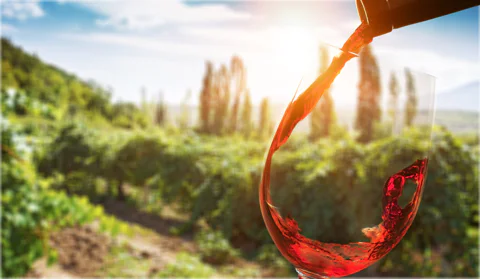 Páty Wine Village Tour with Tastings