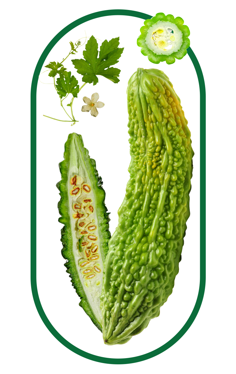 several tongkat ali roots, the key ingredient in the best tongkat ali singapore