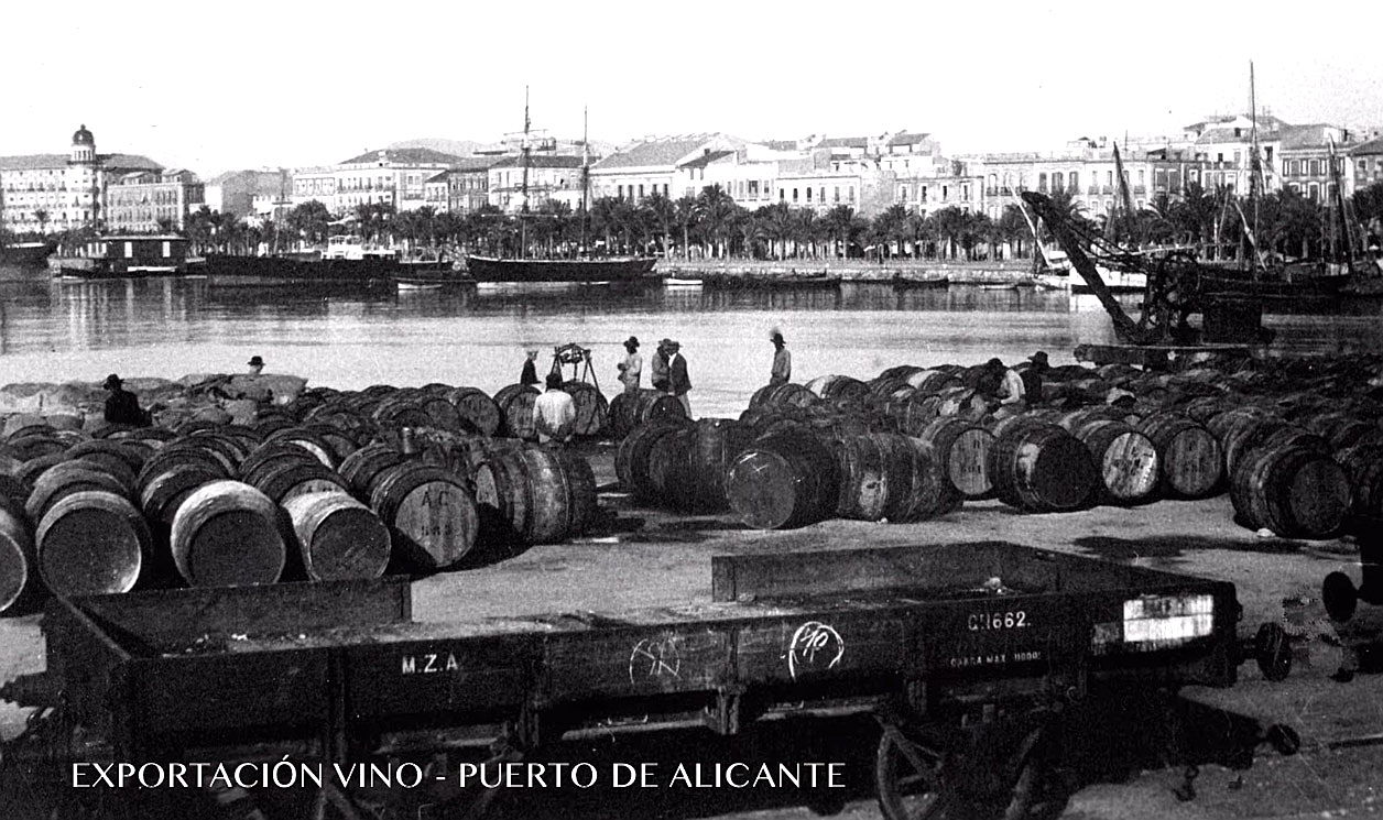  Torrevieja
- wine exportation alicante.jpg