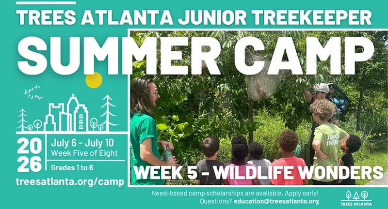 Junior TreeKeeper Summer Camp 2026 - Wildlife Wonders