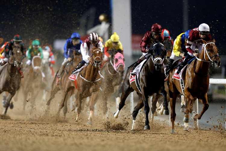 Dubai World Cup online wagering