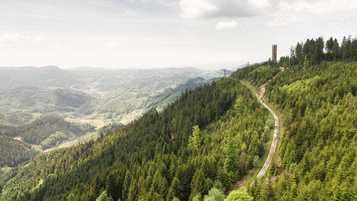 Aussicht in der Wandertourenregion im Schwarzwald bei der Vorbereitung für die Alpenüberquerung