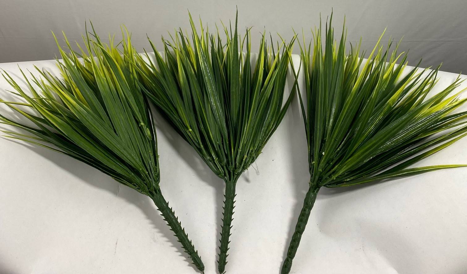 Lipstick grass 4301 15"