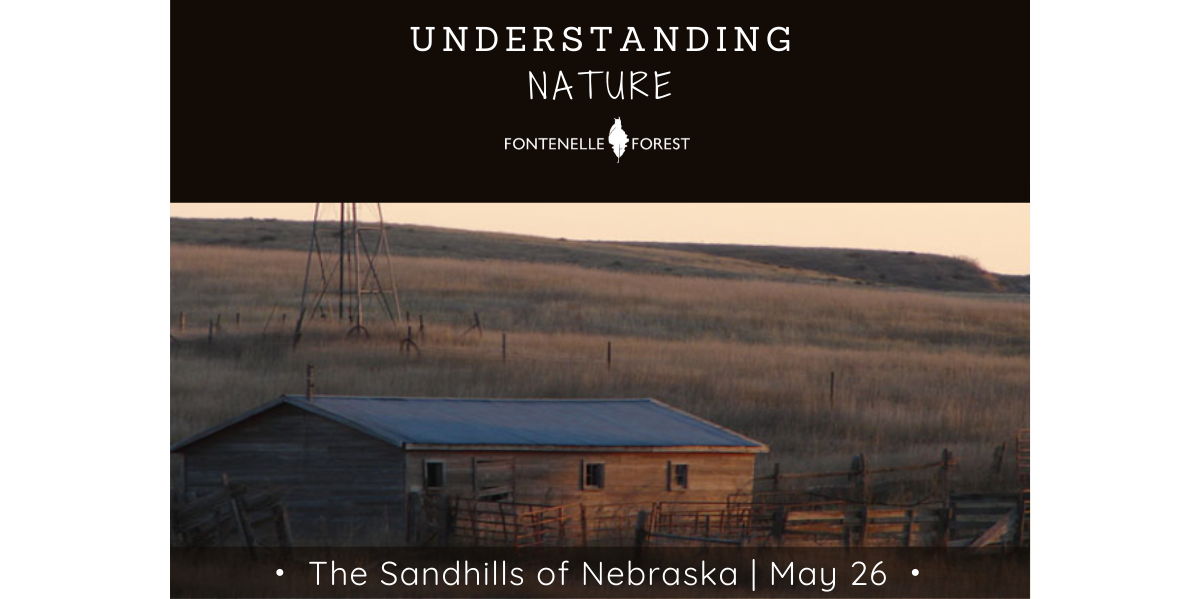 Understanding Nature: The Sandhills of Nebraska (Online event) promotional image