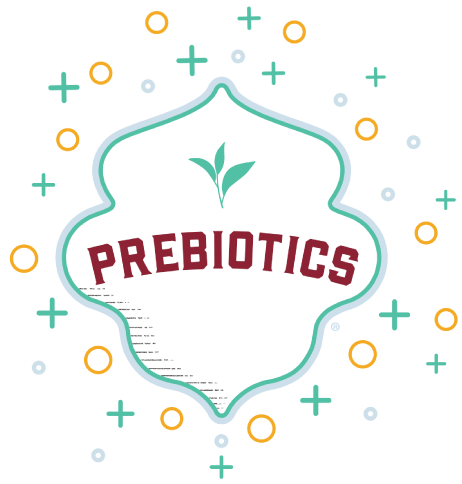 the word prebiotics in a bubble