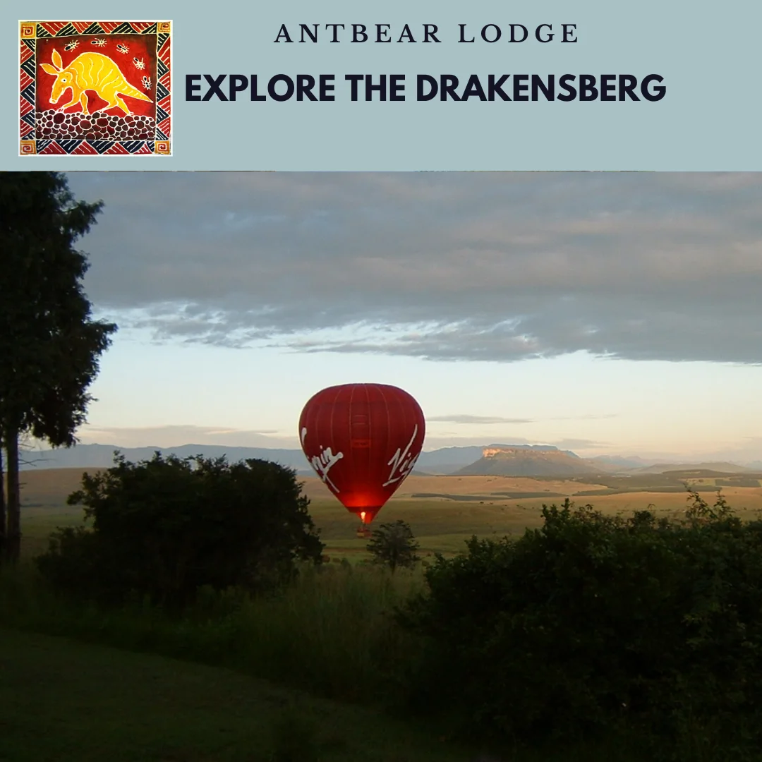 Drakensberg hot air balloon package