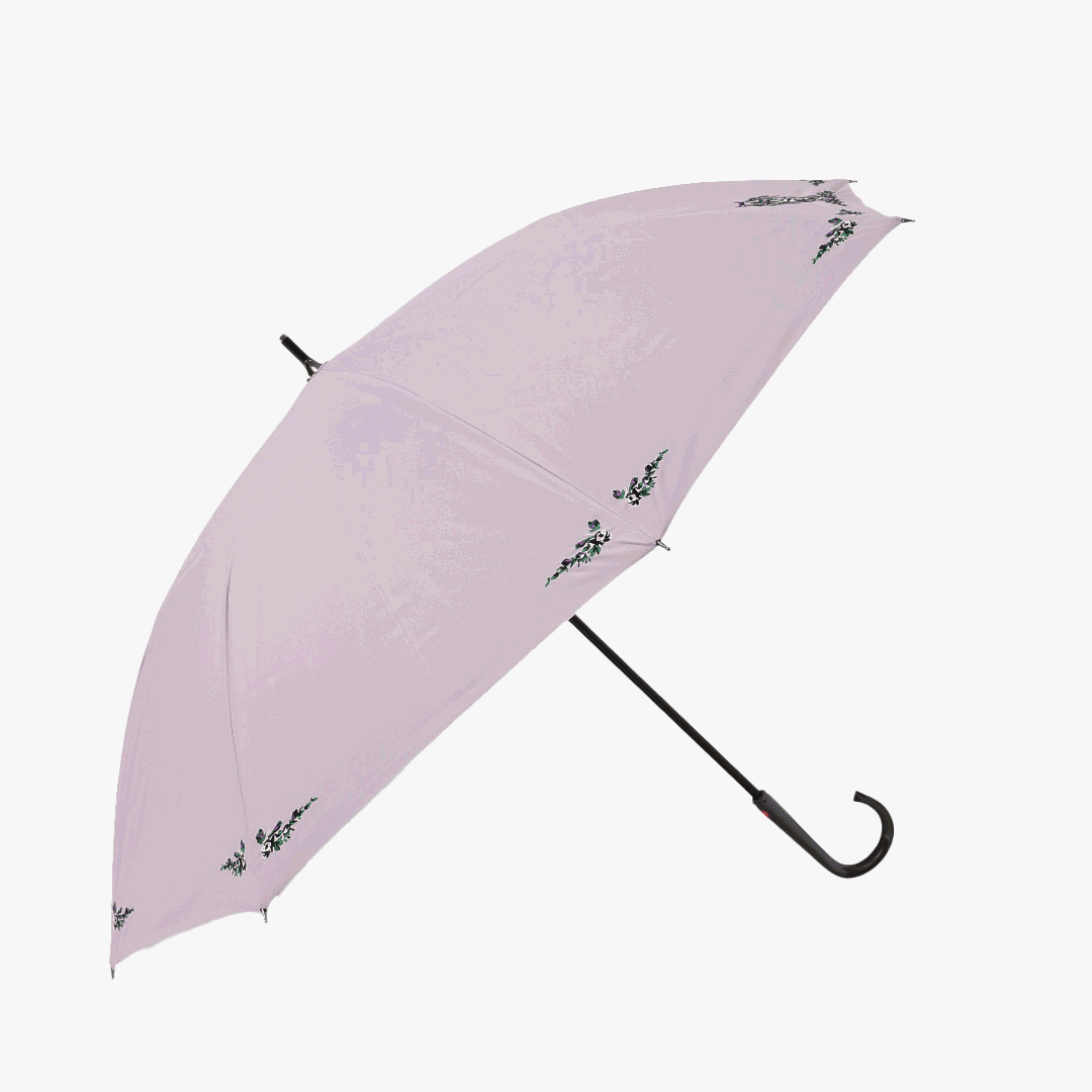 Recommended items for the rainy season