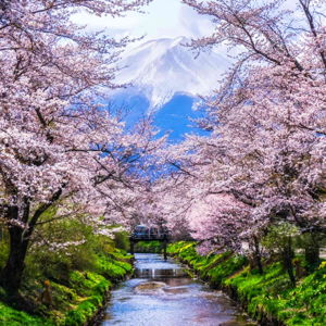Honeymoon - Japan 2026