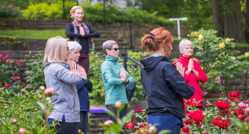 Wellness Workshop Preview