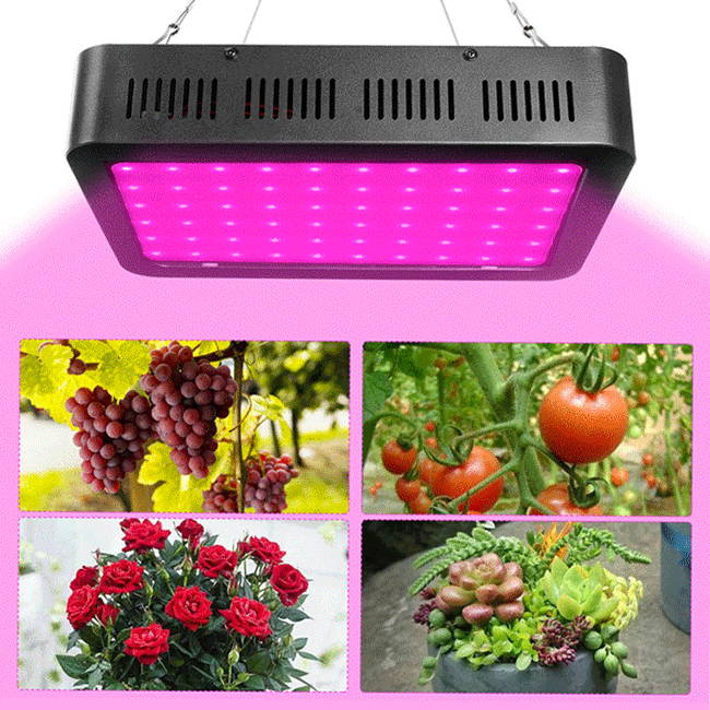 LED Grow Light 1000w Full Spectrum Hydroponic Upgraded, Black