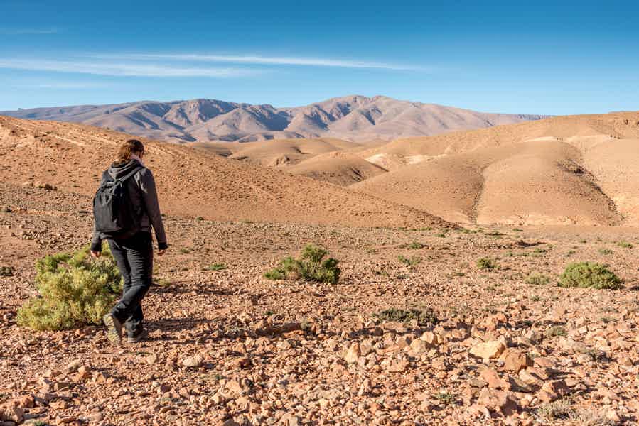 From Marrakesh: Full-Day Mountain & Desert Trip w/ Camel Ride - photo 5