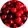 fastblast daily essentials contains organic cranberry