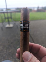 V cut - Connecticut shade