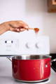A red and silver pot sits on the burner of a white stovetop while a hand above pours a reddish ground spice from a tiny wooden spoon