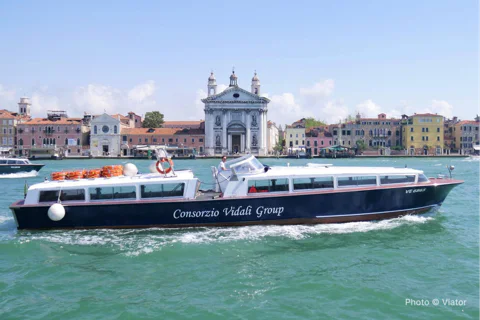 1-hour panoramic tour of Venice by boat