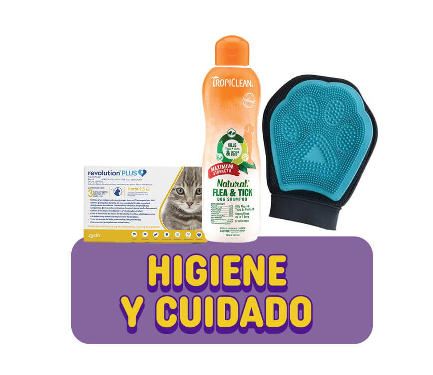 accesorios y juguetes