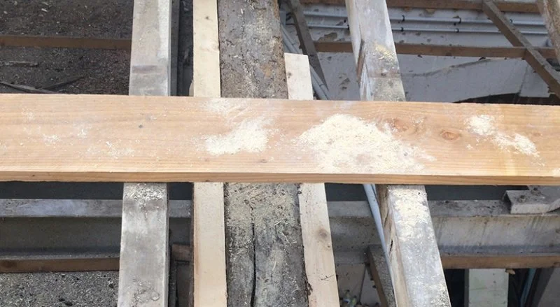 Renforcement d’une charpente traditionnelle avec réalignement — photo 8 sur 8 — CEG TOITURE