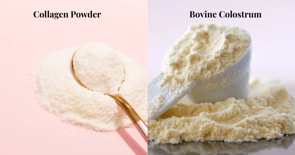 Bovine colostrum vs collagen powder