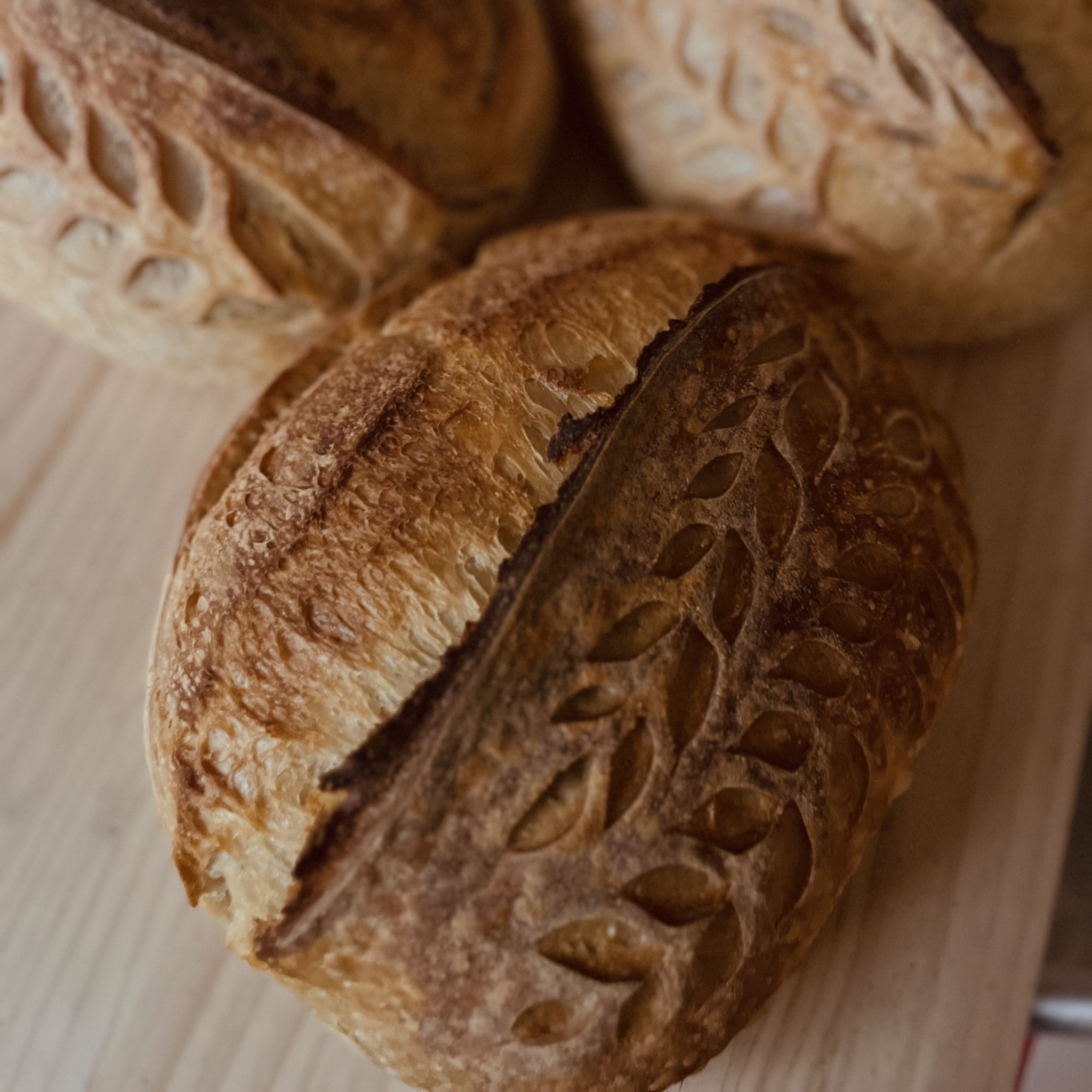 Jersey Shore Dough Co | NJ Organic Cottage Bakery — photo from hotplate.com