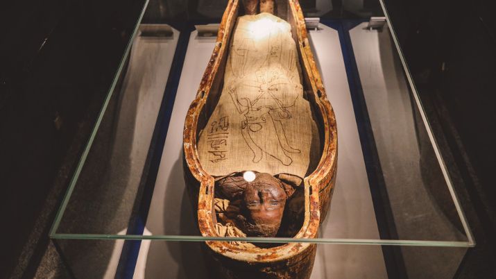 The Mummification Museum in Luxor houses a rich collection of mummies and artifacts, offering a captivating glimpse into ancient Egyptian burial practices