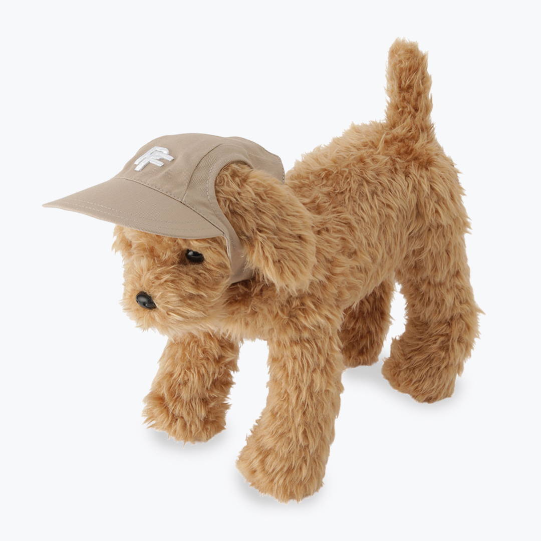 PET CAP