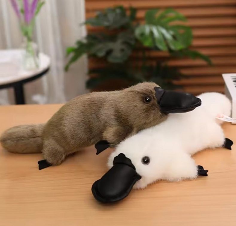 Platypus Cuddly Toy