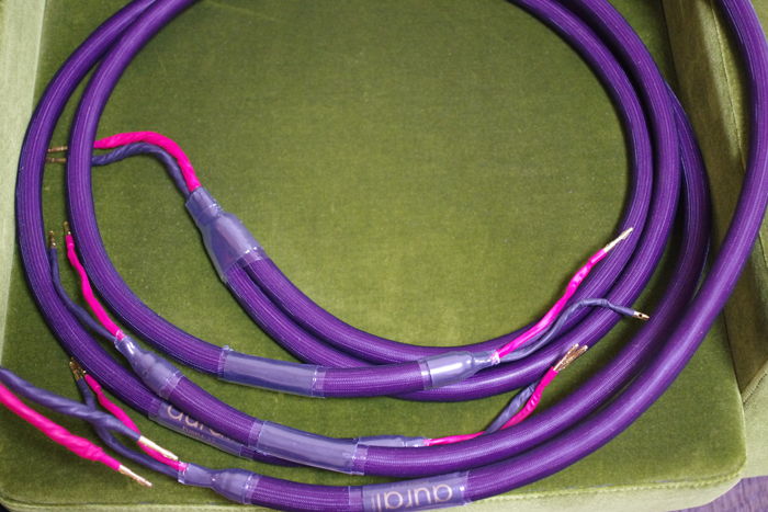 Aural Symphonics Purple V3 biwire speaker cable 2.0m