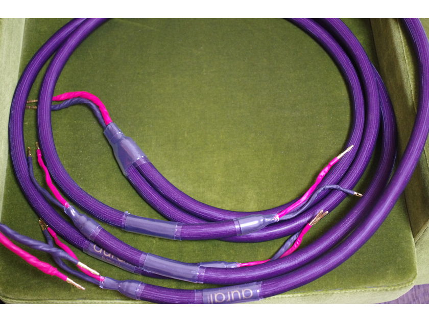 Aural Symphonics Purple V3 biwire speaker cable 2.0m